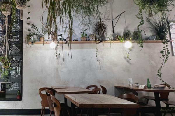 Modern restaurant with live-edge wood tables and microcement walls