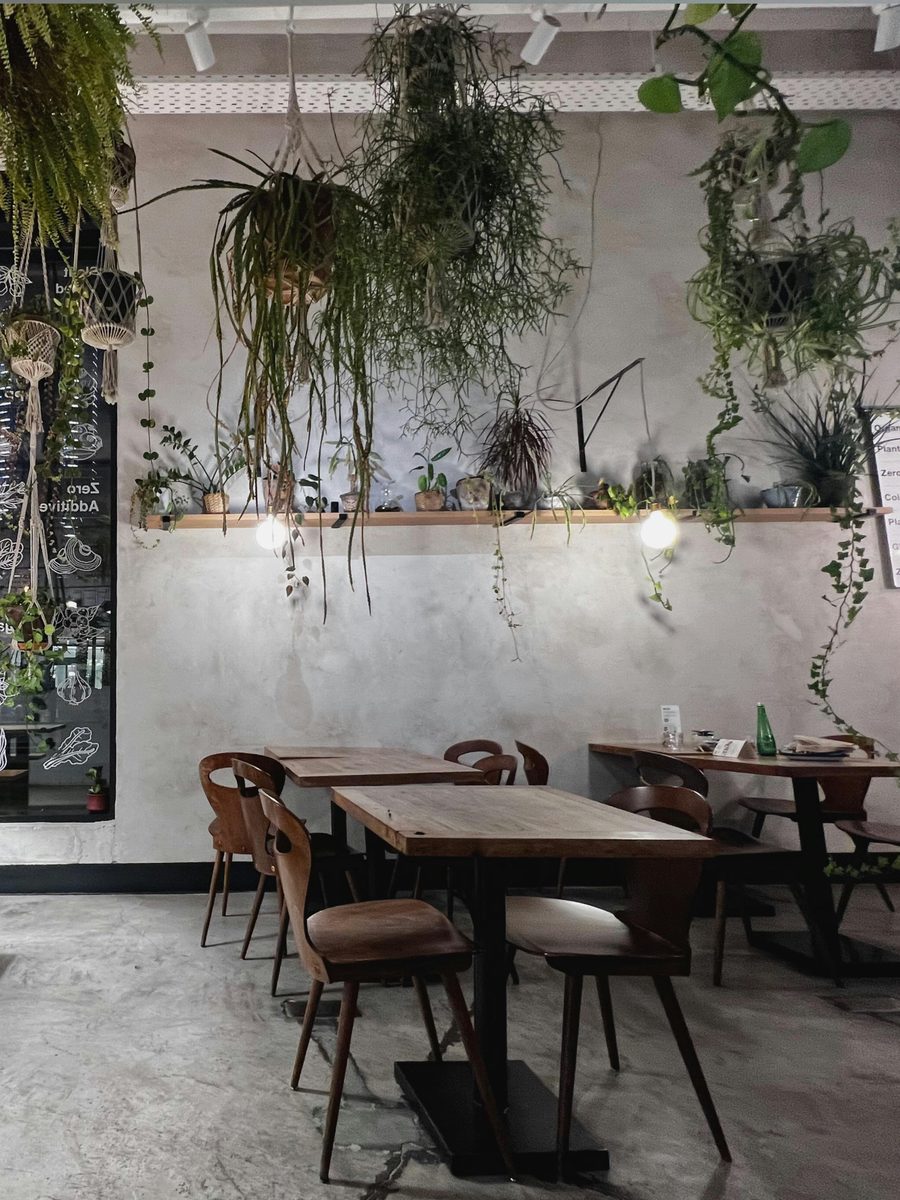 Restaurant interior with microcement walls, wood tables and hanging botanical plants